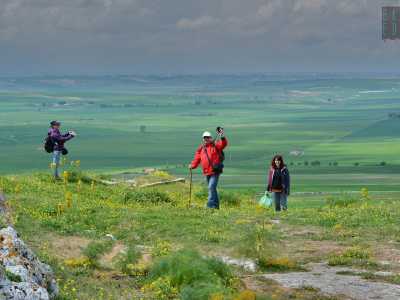 Radure, boschi e colline panoramici. Sono alcune delle bellezze disseminate nel Parco nazionale dell'Alta Murgia. Punti di interesse spesso diffiicili da raggiungere, per via della mancanza di una segnaletica adeguata: ma qualcosa sta cambiando, grazie all'impegno di un'associazione